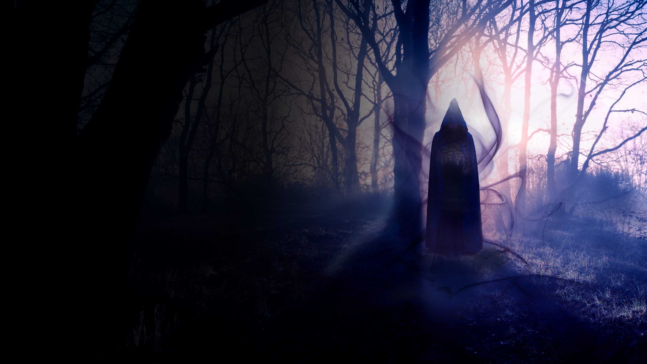 The Whisper Within The Woods